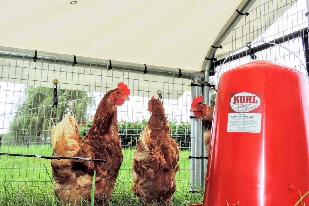 Chicken Ranger Coop Accessories