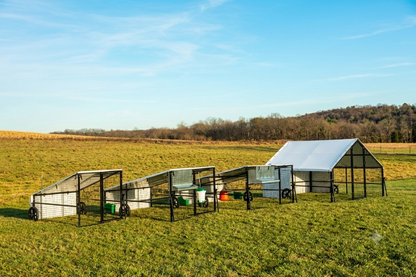 Steel Portable Chicken Coops