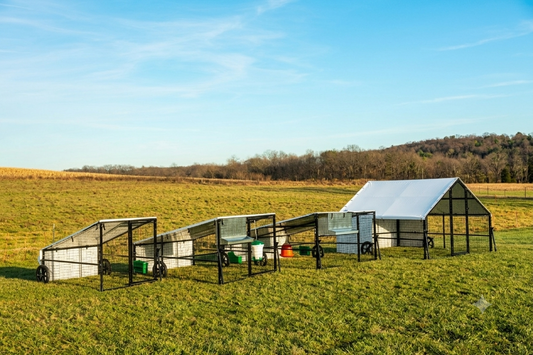 Steel Portable Chicken Coops