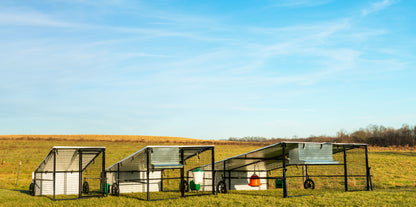 Steel Portable Chicken Coops