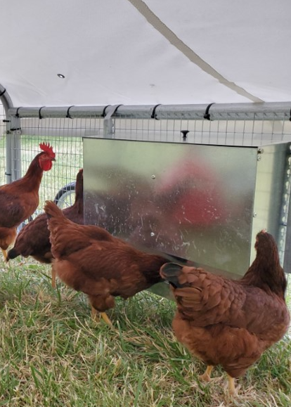 Chicken Ranger Coop Accessories
