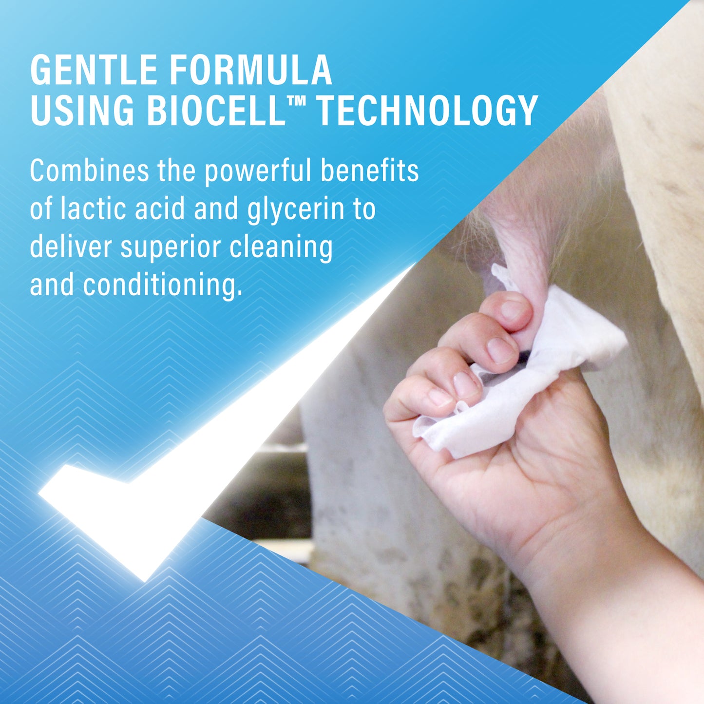 Milk Check Teat Wipes