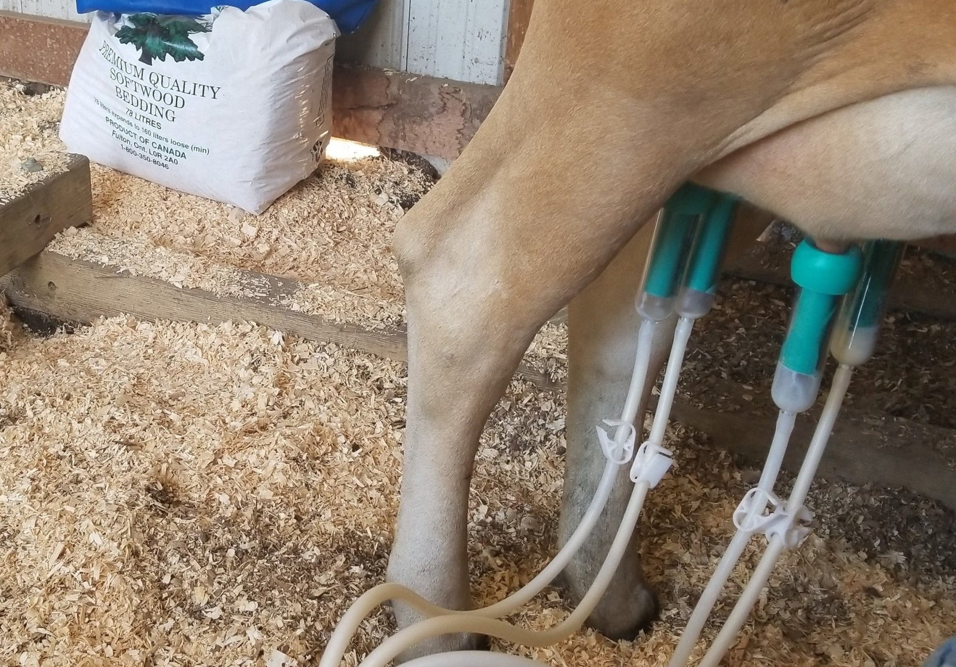 ULTIMATE EZ™ MILKERMilkersShenandoah Homestead Supply