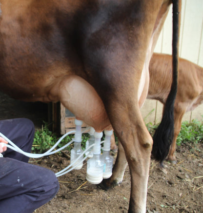 ULTIMATE EZ™ MILKERMilkersShenandoah Homestead Supply