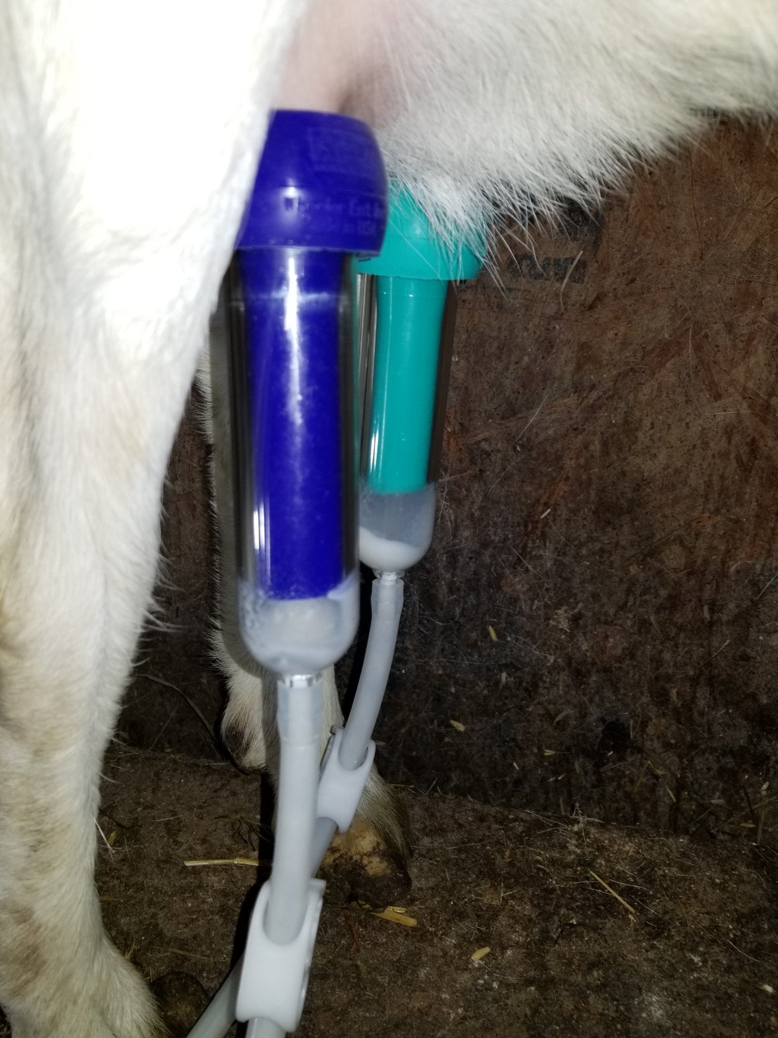 ULTIMATE EZ™ MILKERMilkersShenandoah Homestead Supply