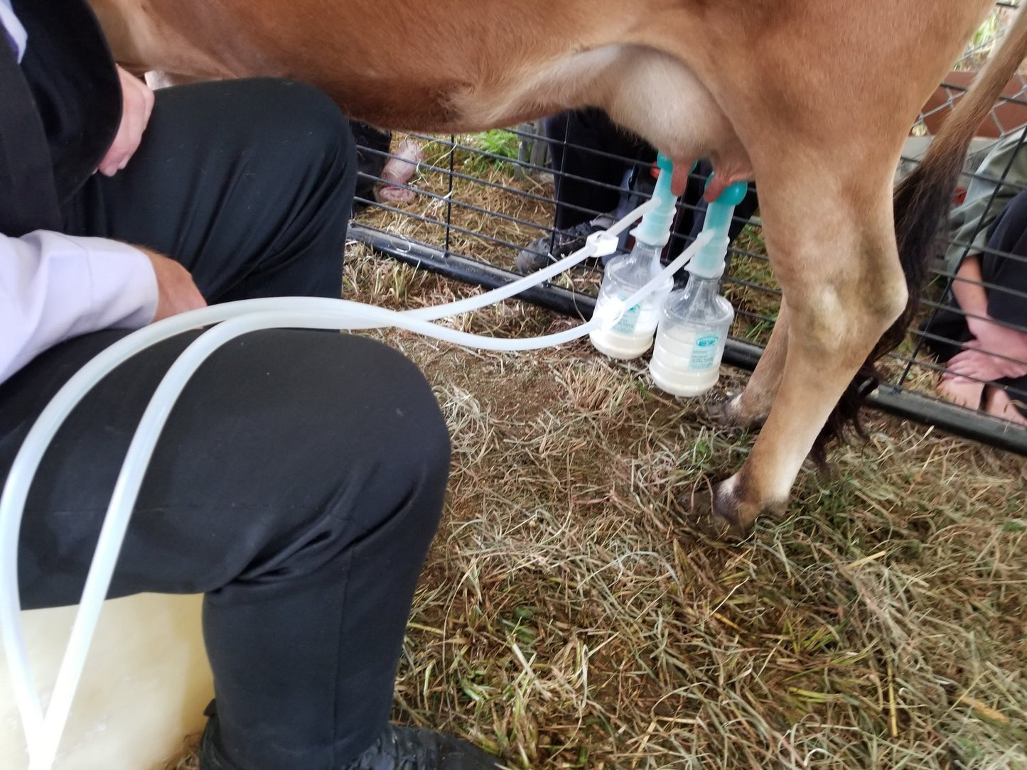 ULTIMATE EZ™ MILKERMilkersShenandoah Homestead Supply