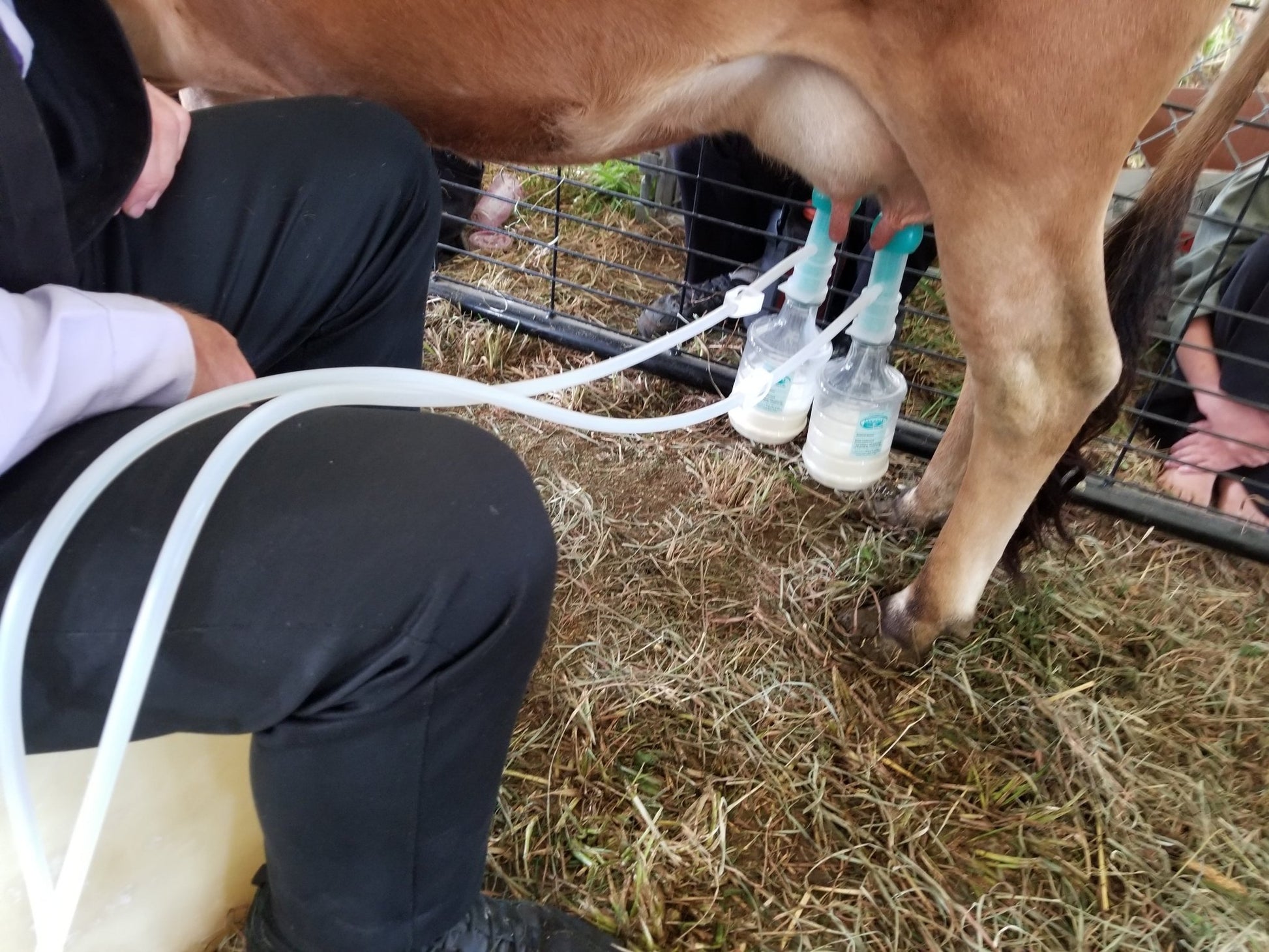 ULTIMATE EZ™ MILKERMilkersShenandoah Homestead Supply