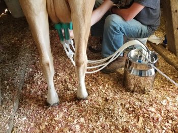ULTIMATE EZ™ MILKERMilkersShenandoah Homestead Supply
